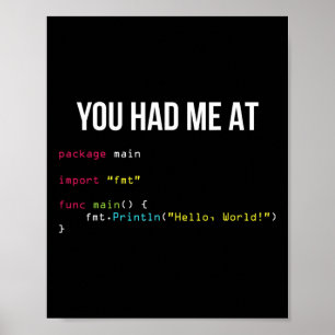 Du Fick Mig Vid Hej Världen Kodning Cool Gaming Ch Poster