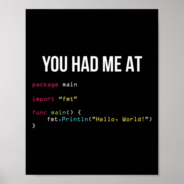 Du Fick Mig Vid Hej Världen Kodning Cool Gaming Ch Poster (Framsidan)