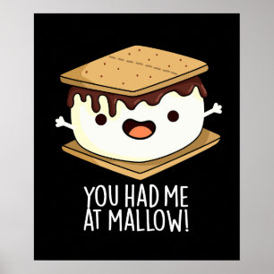 Du Fick Mig Vid Mallow Rolig Smore Skämt Mörk Bakg Poster