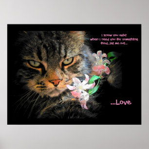 Du finns för Kärlek Cat Haiku Poster