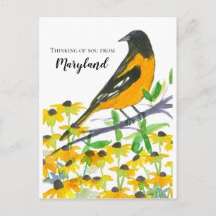 Du från Maryland Baltimore Oriole Vykort
