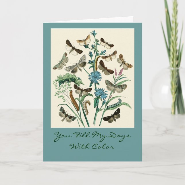 Du fyller min dagar med färg kort (Framsida)