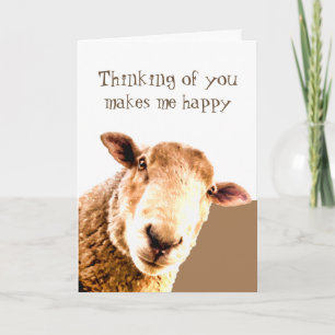 Du gör mig till Smile Lunt COACH Sheep. Kort