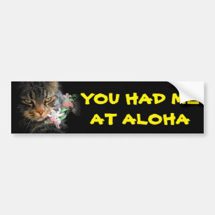 Du hade mig på Aloha kattunge med Lei Bildekal