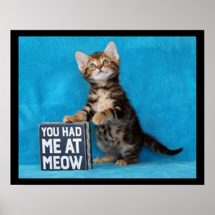 Du hade mig på Meow Bengal Kitten Poster