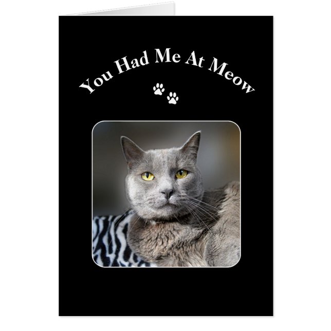 Du hade mig på Meow Blue Cat Hälsningskort (Framsidan)