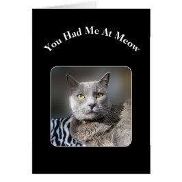 Du hade mig på Meow Blue Cat Hälsningskort