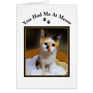 Du hade mig på Meow Calico Kitten Hälsningskort