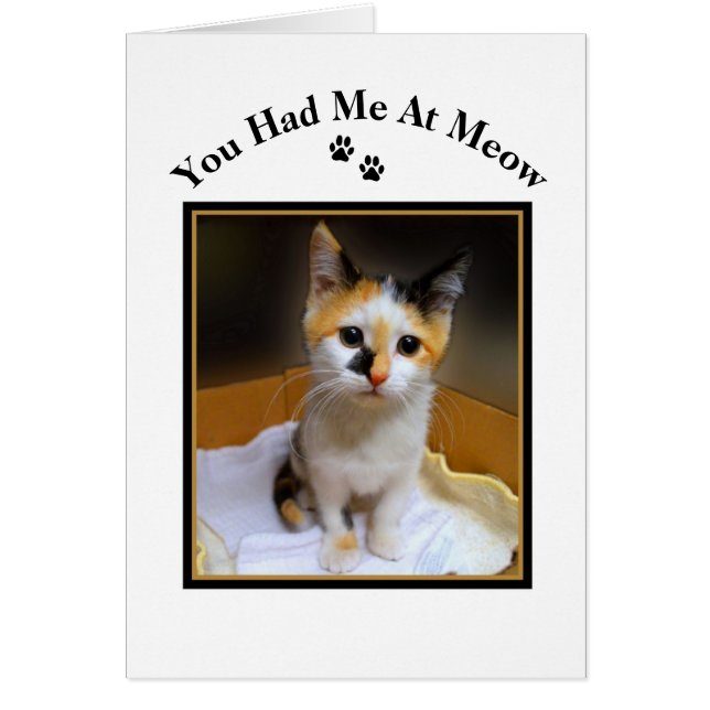 Du hade mig på Meow Calico Kitten Hälsningskort (Framsidan)