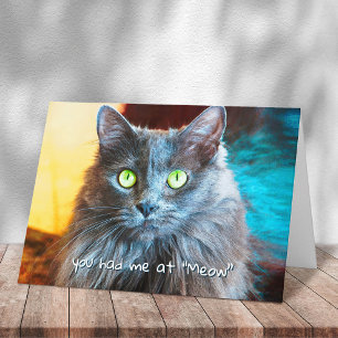 Du hade mig på Meow Cute Grått Cat Fotography Bold Kort