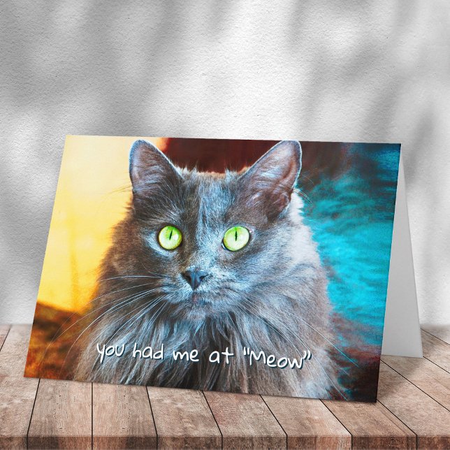 Du hade mig på Meow Cute Grått Cat Fotography Bold Kort (Skapare uppladdad)