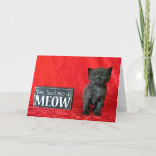 Du hade mig på Meow - Pepper (även känt som Jelly Kort