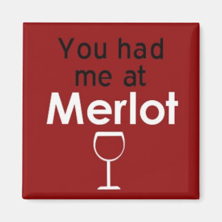 Du hade mig på Merlot Squmagnet Magnet