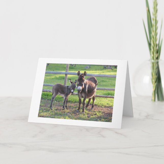 DU HAR BESTÄMT **NAUGHTY*** ELLER **NICE** FÖR CHR HELGKORT (Framsida)