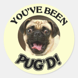 DU HAR BLIVIT BRA! - FUNNY PUG HUND RUNT KLISTERMÄRKE
