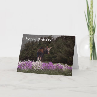 Du har blivit mogen av en Moose! Födelsedagskort Kort