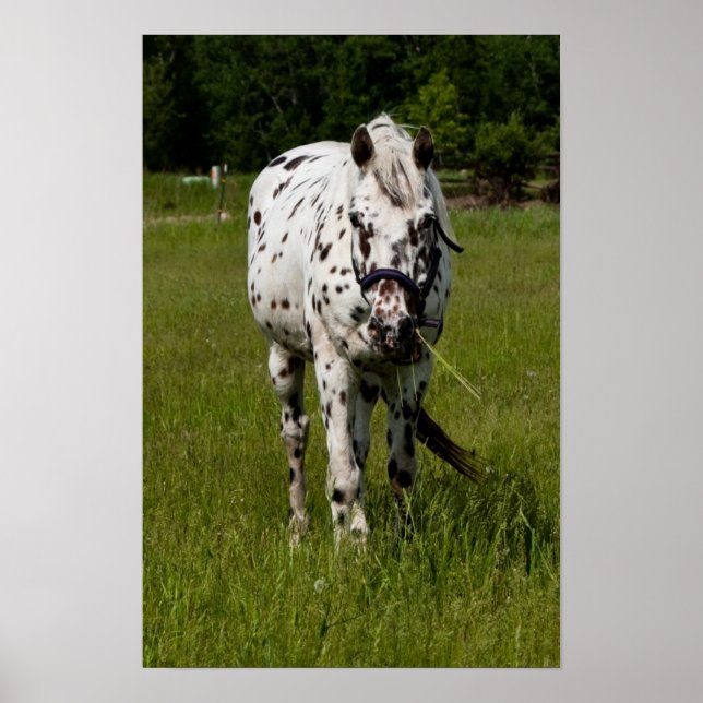 Du har blivit utspridd poster (Framsidan)