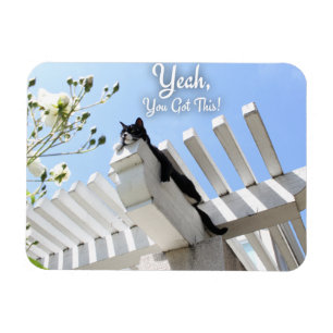 Du Har den här katten Motivation Slogan Magnet