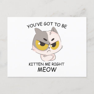 Du har Har att bli kattad Höger Meow Vykort