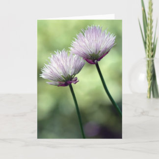 Du har har en vän i mig... kort