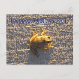 Du har sparkat vykort