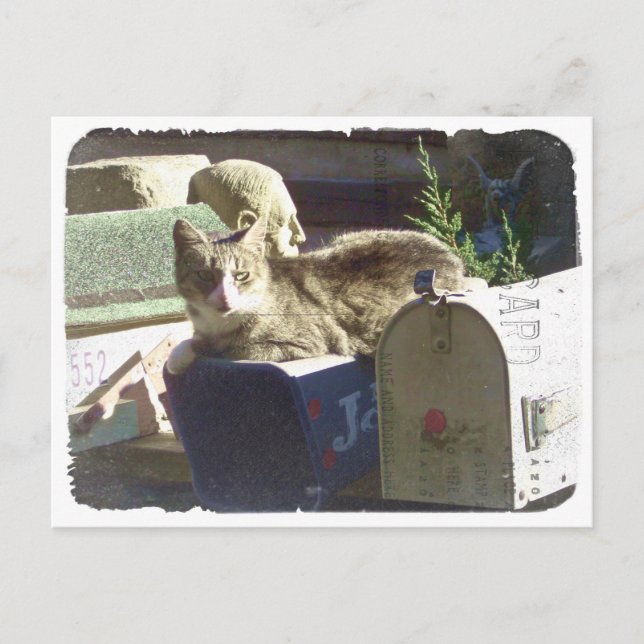 Du har vykort för Har-postmeddelande (Framsida)