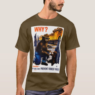 Du kan bara förhindra skogsbränder t shirt