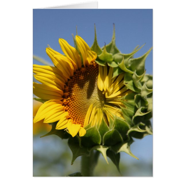 Du kan göra det här hälsningskort (Framsidan)