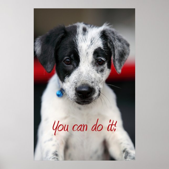 Du kan göra det! poster (Framsidan)