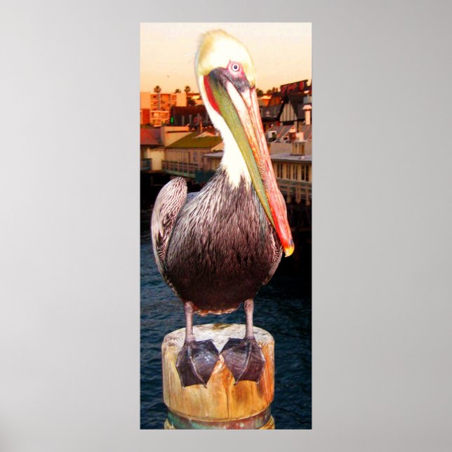 Du kan göra det_ Poster_av Elenne Poster (Framsidan)