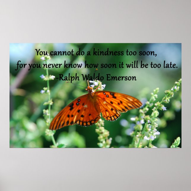 Du kan inte göra en skönhet till Soon. Poster (Framsidan)