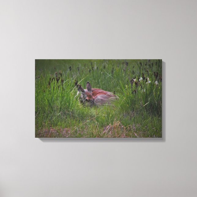 Du kan inte se mig! canvastryck (Framsida)