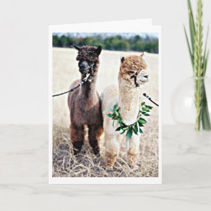 DU KAN INTE TROR ATT DU ÄR FÄRDIG "40:e" BIRTHDAY Kort