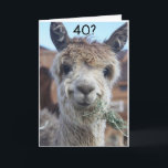 DU KAN INTE TROR ATT DU ÄR FÄRDIG "40:e" BIRTHDAY Kort<br><div class="desc">HORSE KAN BARA INTE TRO ATT HANS VÄNNER ELLER FAMILJEMEDLEM ÄR ALLT REDO ATT FÄRSKA DIN **40 BIRTHDAY!!!!!!! TACK FÖR ATT JAG STOPPADE ETT AV MINA ÅTTA LAGER! KOMMER DU IHÅG ATT DU KAN ÄNDRA "ÅLDER" OCH "VERSER" I OCH UT SOM DU ÖNSKAR I SEKUNDER!</div>