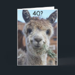 DU KAN INTE TROR ATT DU ÄR FÄRDIG "40:e" BIRTHDAY  Kort<br><div class="desc">HORSE KAN BARA INTE TRO ATT HANS VÄNNER ELLER FAMILJEMEDLEM ÄR ALLT REDO ATT FÄRSKA DIN **40 BIRTHDAY!!!!!!! TACK FÖR ATT JAG STOPPADE ETT AV MINA ÅTTA LAGER! KOMMER DU IHÅG ATT DU KAN ÄNDRA "ÅLDER" OCH "VERSER" I OCH UT SOM DU ÖNSKAR I SEKUNDER!</div>