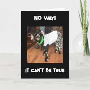 DU KAN INTE VARA 40-KORT KORT