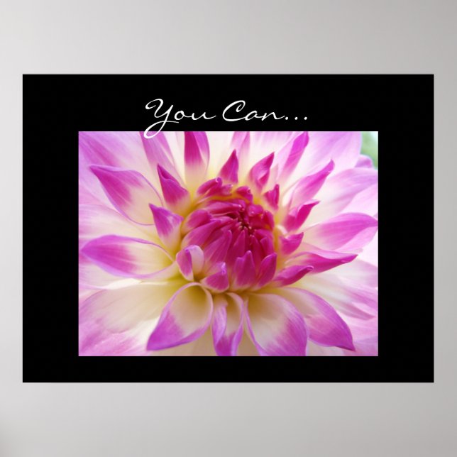 Du kan... konsttryck Rosa Vita Dahlia Blommor Poster (Framsidan)