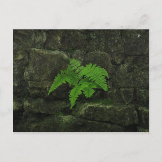 Du kan överleva.. vykort