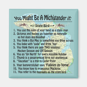 Du kan vara en Michigander om: Magnet