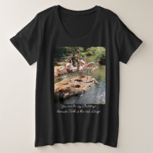 Du kan vara min Flamingo.. Svarta kvinnor