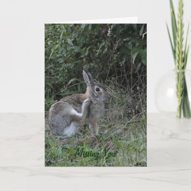 Du/kanin saknas kort (Framsida)