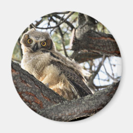 Du Kärlek My Ögon? - Magnet