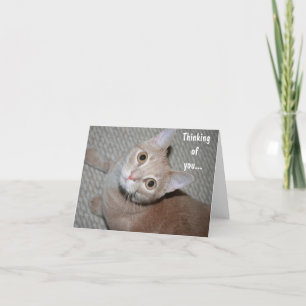 Du Kitten tänker på dig Kort