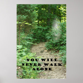 DU KOMMER ALDRIG ATT BARA WALK POSTER