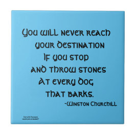 DU KOMMER ALDRIG ATT KÖPA CERAMISTIKTILEN KAKELPLATTA