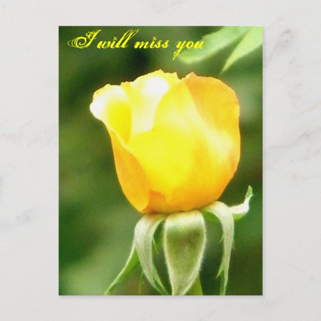 Du kommer att saknas/Alla tillfällen_Postkort Vykort (Framsida)