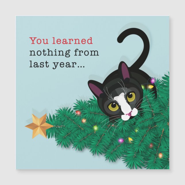 Du lärde dig inget förra året! (Framsida)