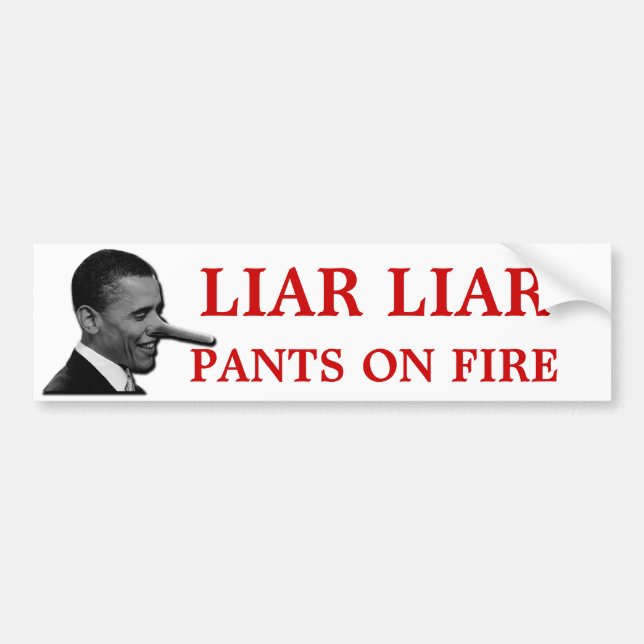 Du LJUGER Bildekal (Framsidan)