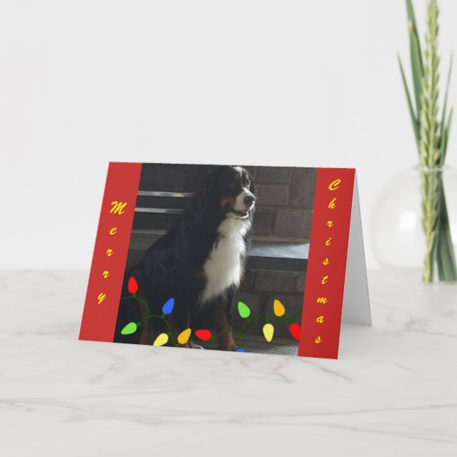 **DU LYCKADE UPP MITT LIV** GOD JUL HELGKORT (Framsida)