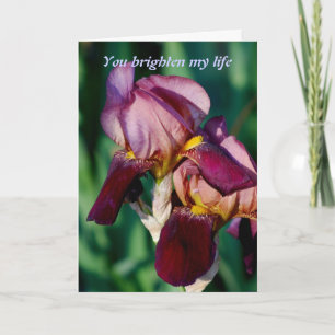 Du lyfter mitt liv tack kort